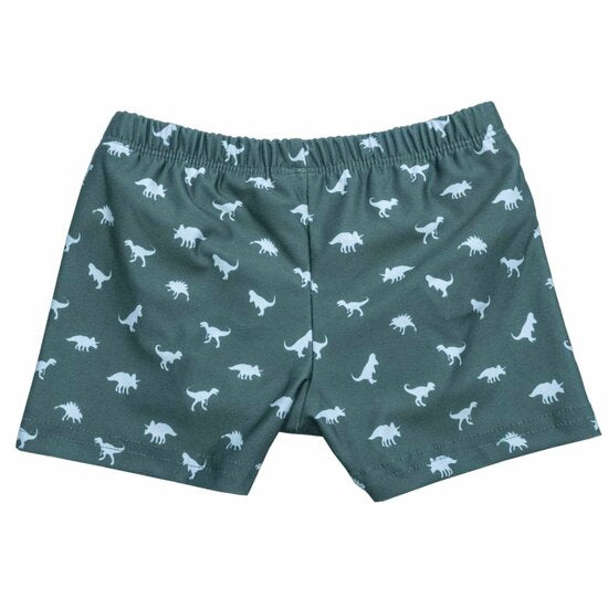 Slipstop trunk zwemluier groen dino