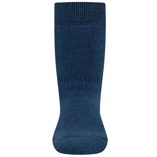 Ewers Passerina blauw